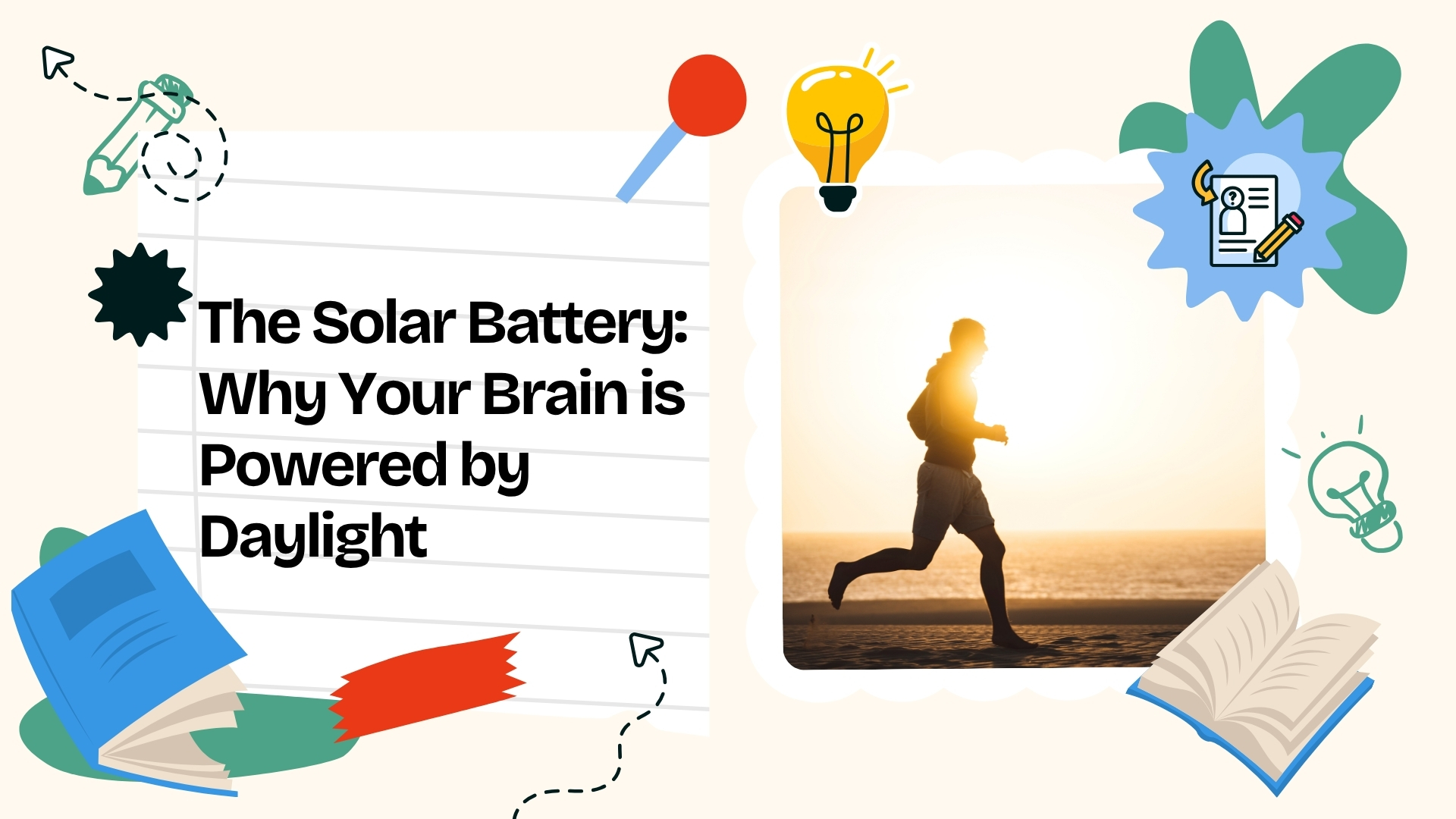 The Solar Battery: Why Your Brain is Powered by Daylight
